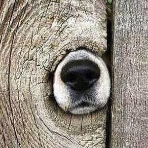 Meet your Posher, Ted